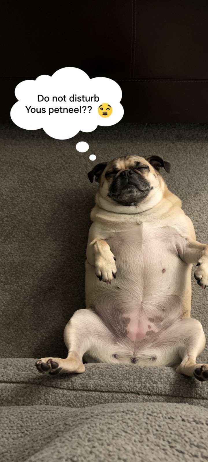 Funny DP of a sleeping dog with a humorous thought bubble caption.