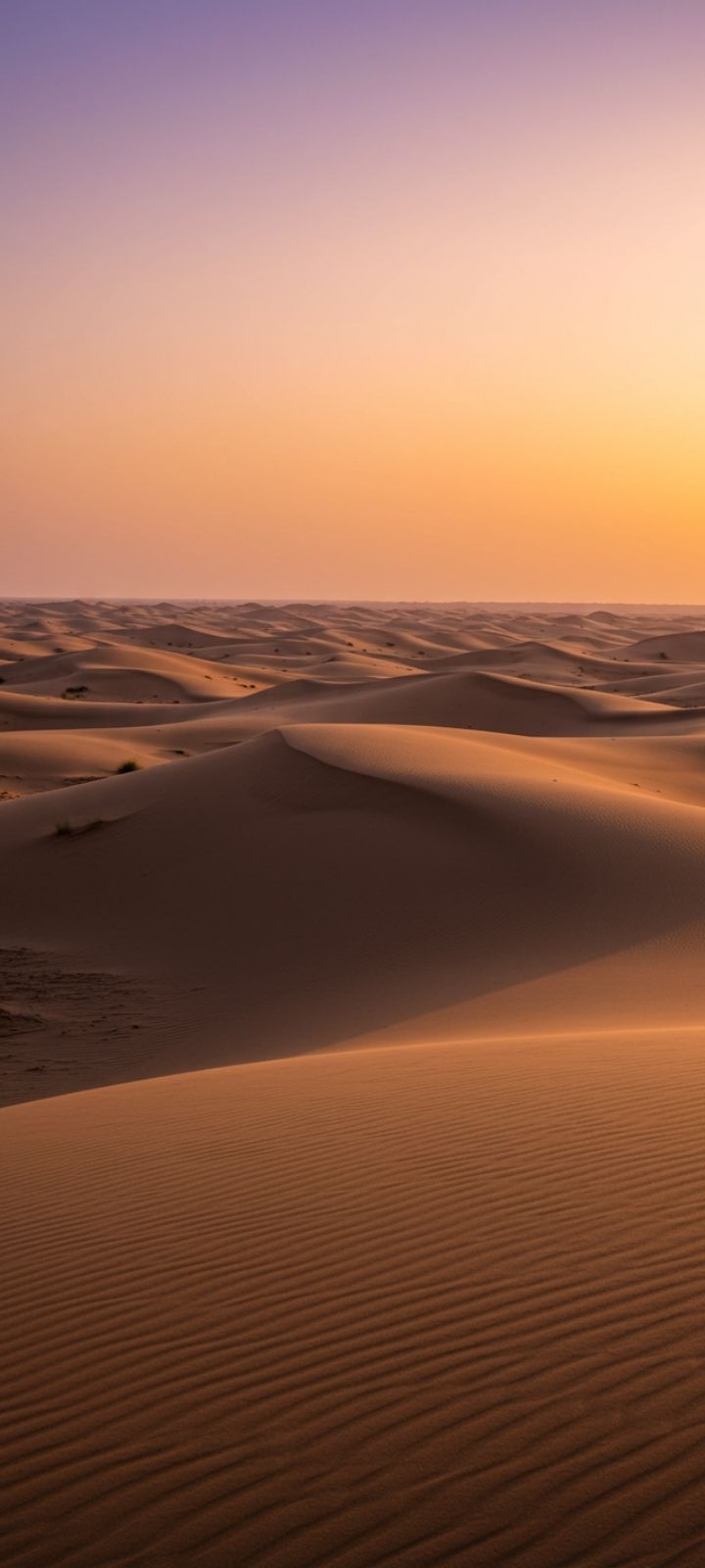 Nature DP of a golden hour desert landscape, Rajasthan inspired.
