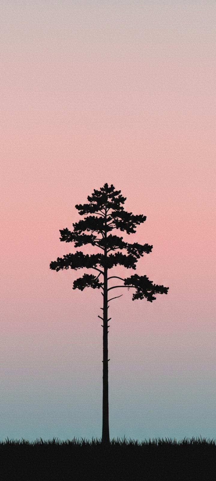 Aesthetic Instagram DP with minimalist tree silhouette and gradient sky.