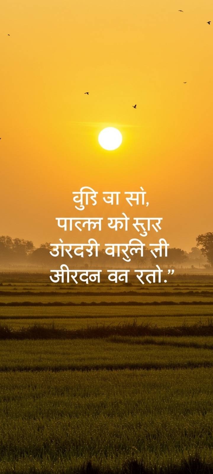 Inspirational Hindi quote wallpaper, sunrise landscape background.