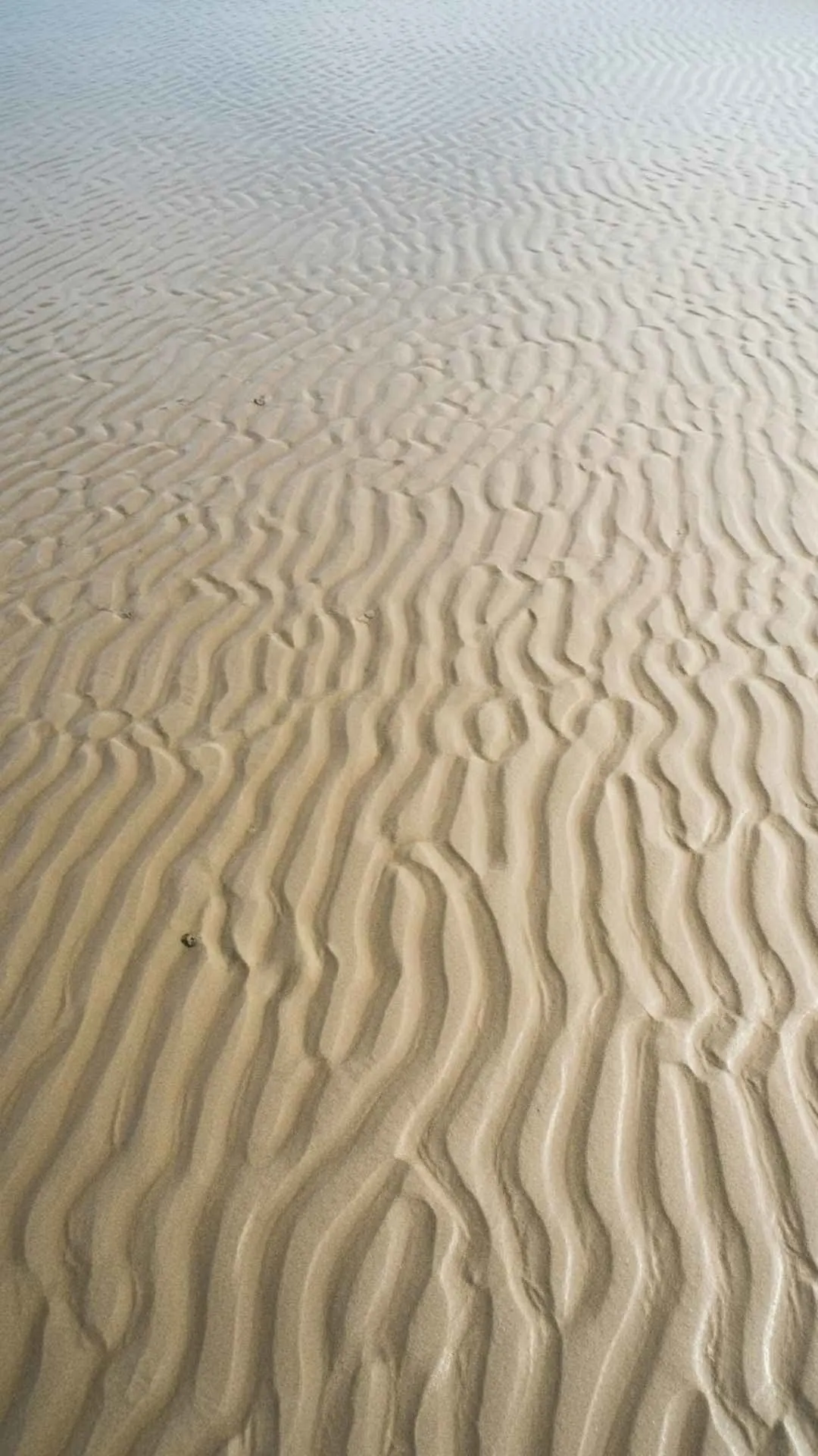 Abstract, natural patterns created by waves on the sand. A unique and artistic healing DP for a calm and creative profile