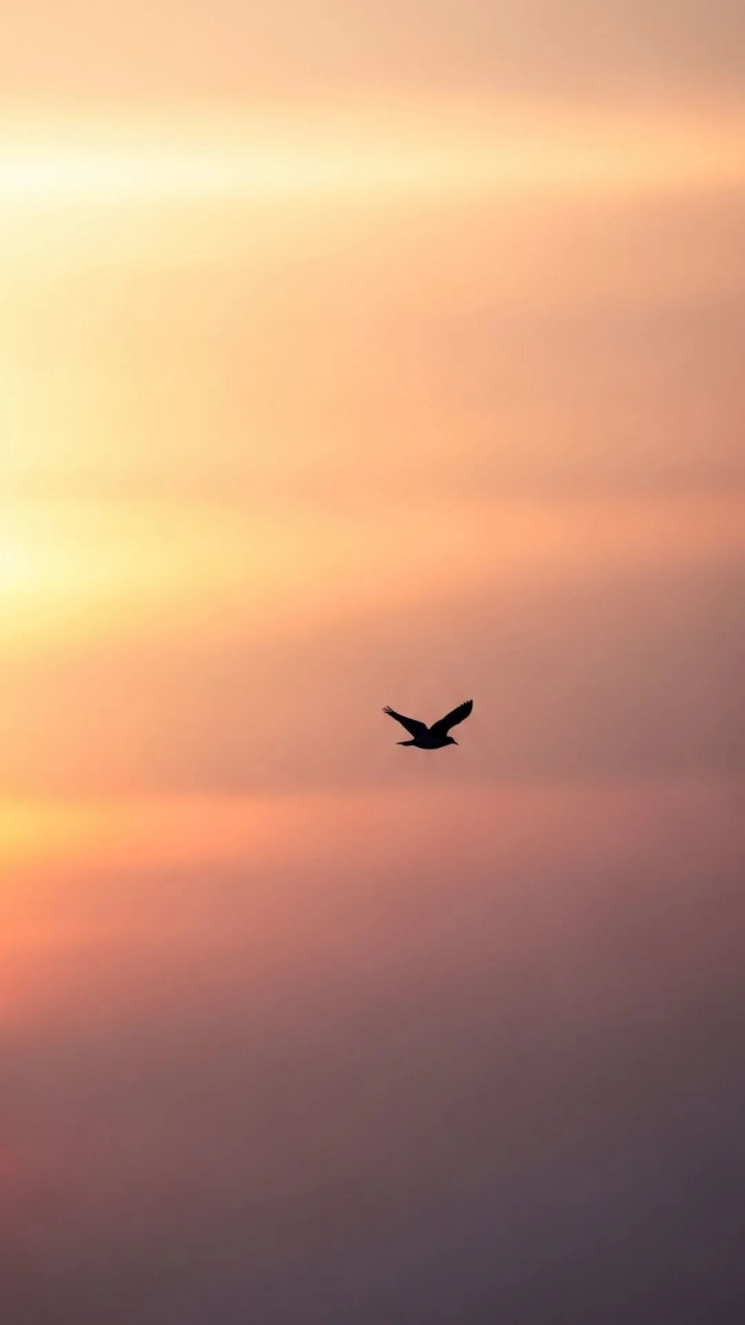 Silhouetted bird flying towards hazy sunrise, representing quiet hope