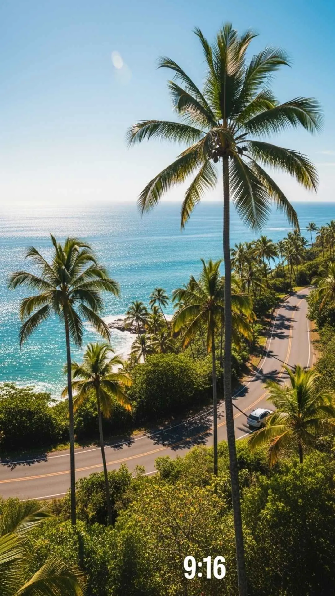 Scenic coastal road with palm trees DP for WhatsApp, curving towards the ocean under a sunny sky. A relaxing tropical nature profile picture.