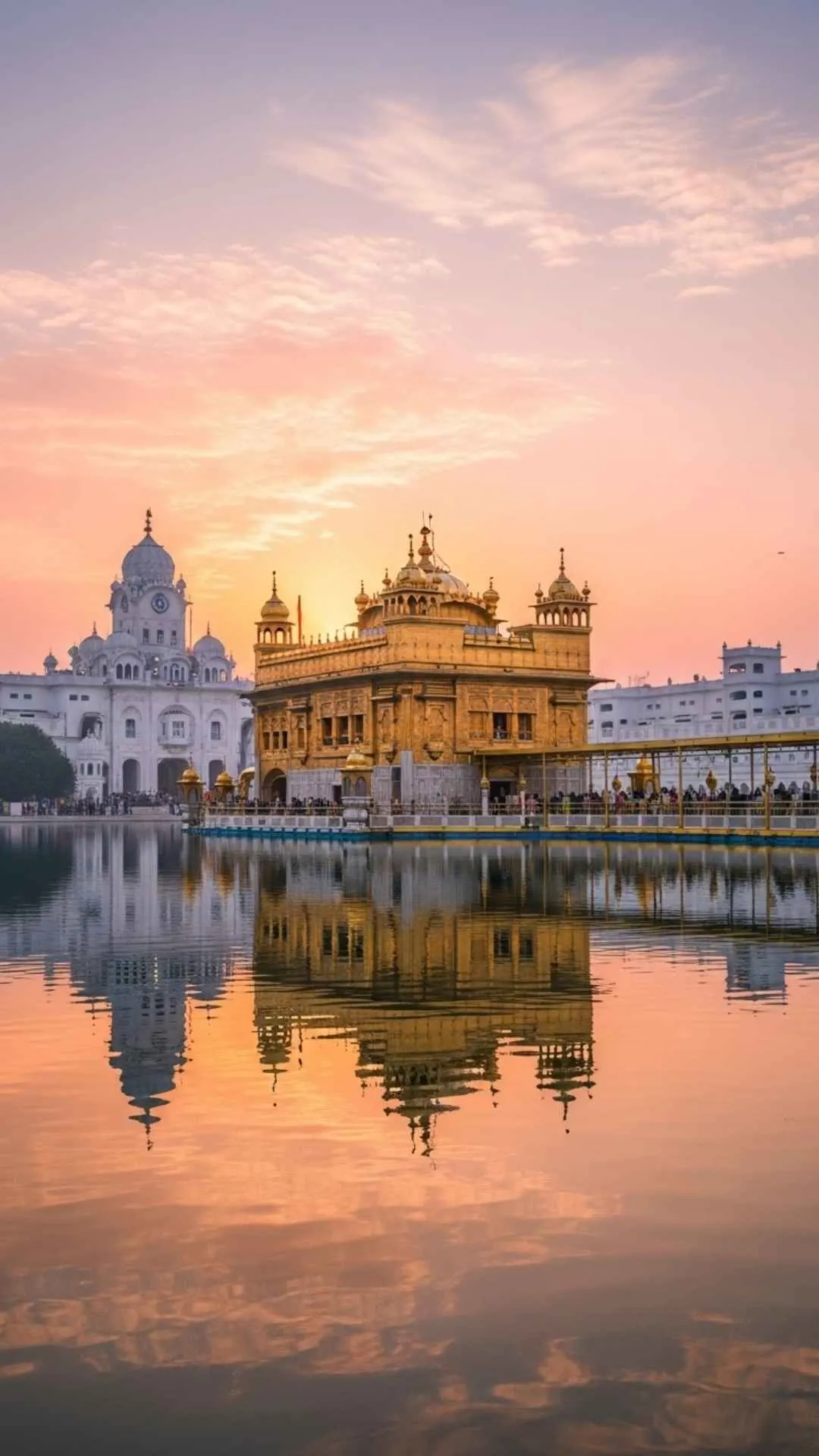 A breathtaking DP of the Golden Temple (Harmandir Sahib) at sunrise (Amrit Vela), with its perfect reflection in the calm Sarovar. A symbol of peace and serenity. #GoldenTemple #HarmandirSahib #AmritVela #SikhDP #Serenity
