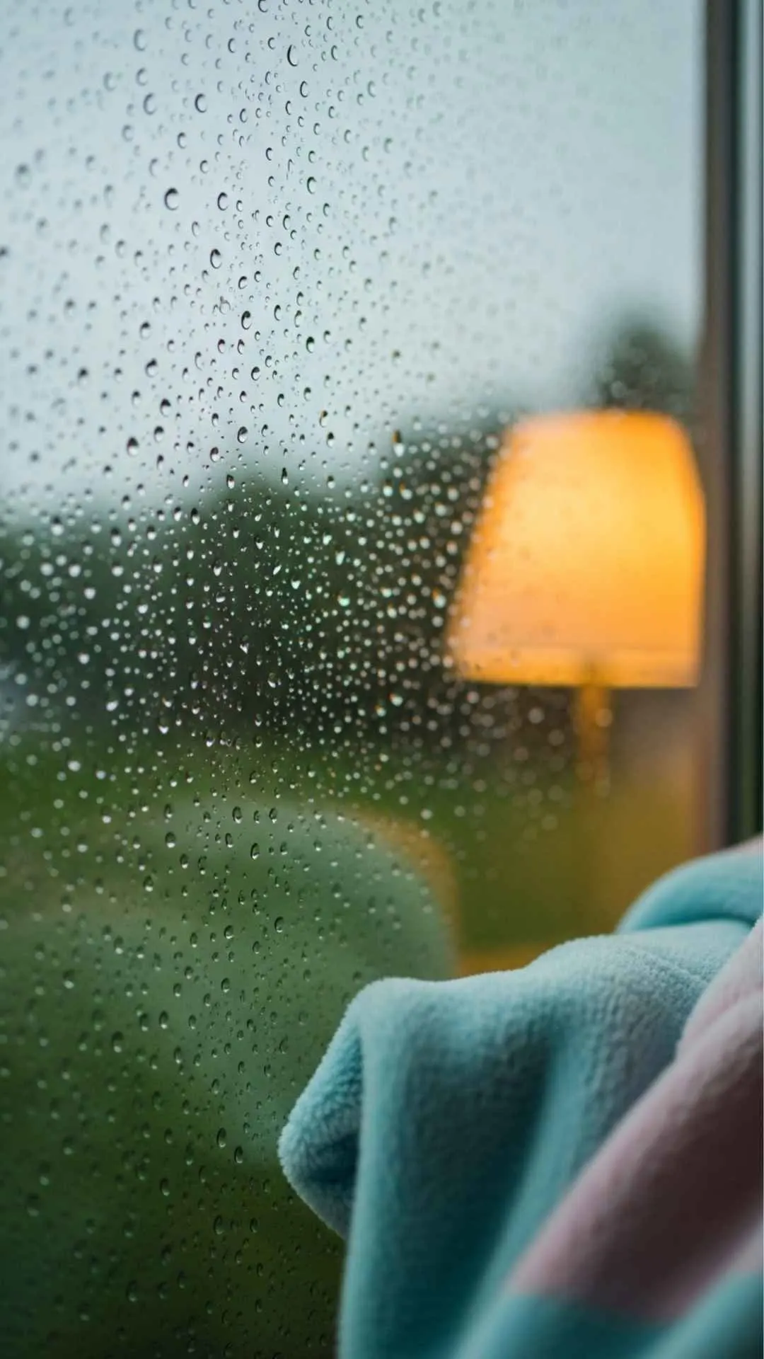 A calming and healing DP for a positive mindset, showing a cozy view of a rainy day from inside. This image is about finding peace and comfort in quiet moments