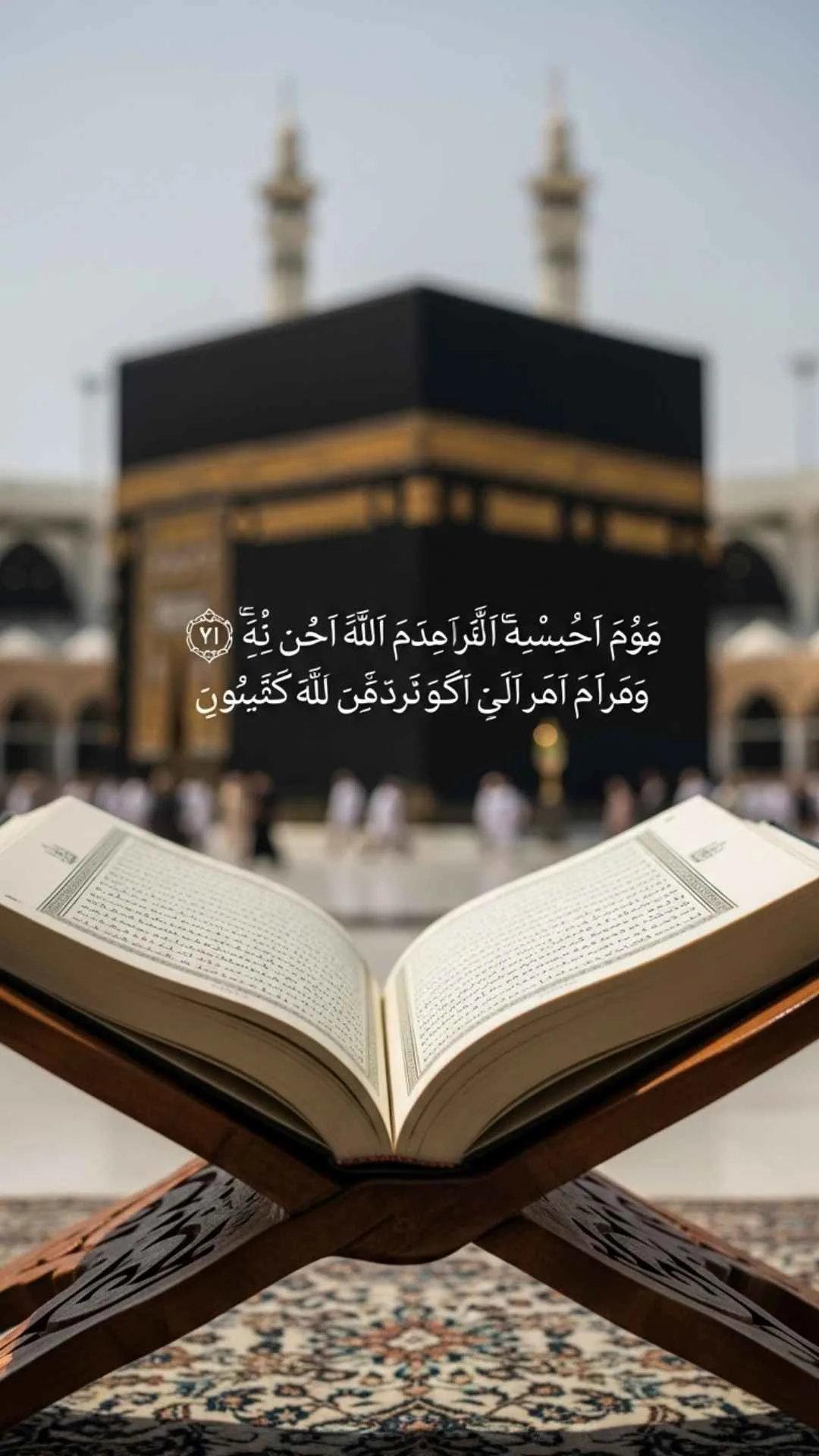 A spiritual DP of an open Quran on a rehal, with the Kaaba softly blurred in the background, symbolizing a deep, personal connection to faith and study. #Quran #Kaaba #IslamicDP #Faith #Spiritual