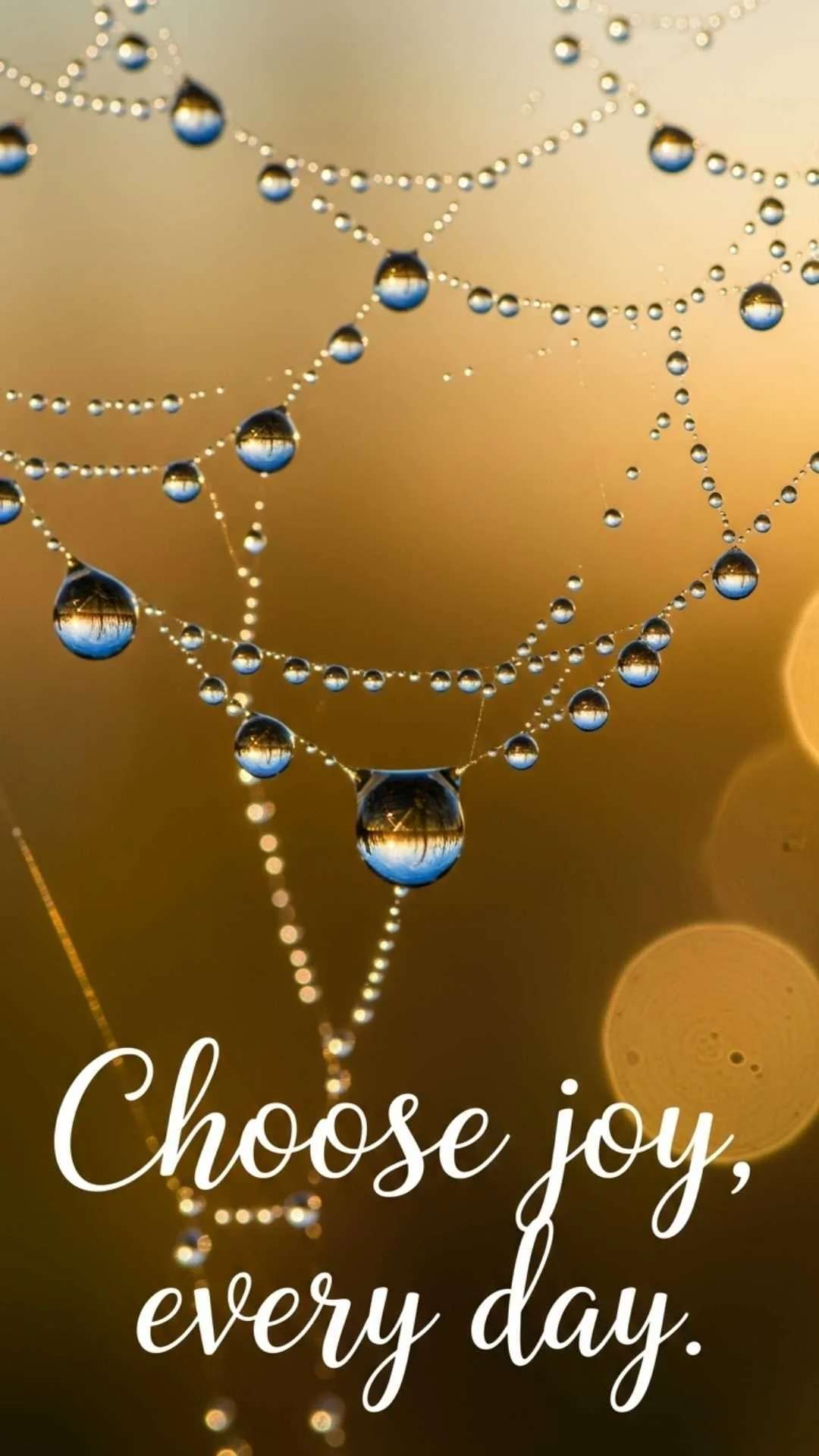 Positive vibes Instagram DP, good morning inspiration profile picture, colorful aesthetic image with joy quote, uplifting quotes wallpaper.