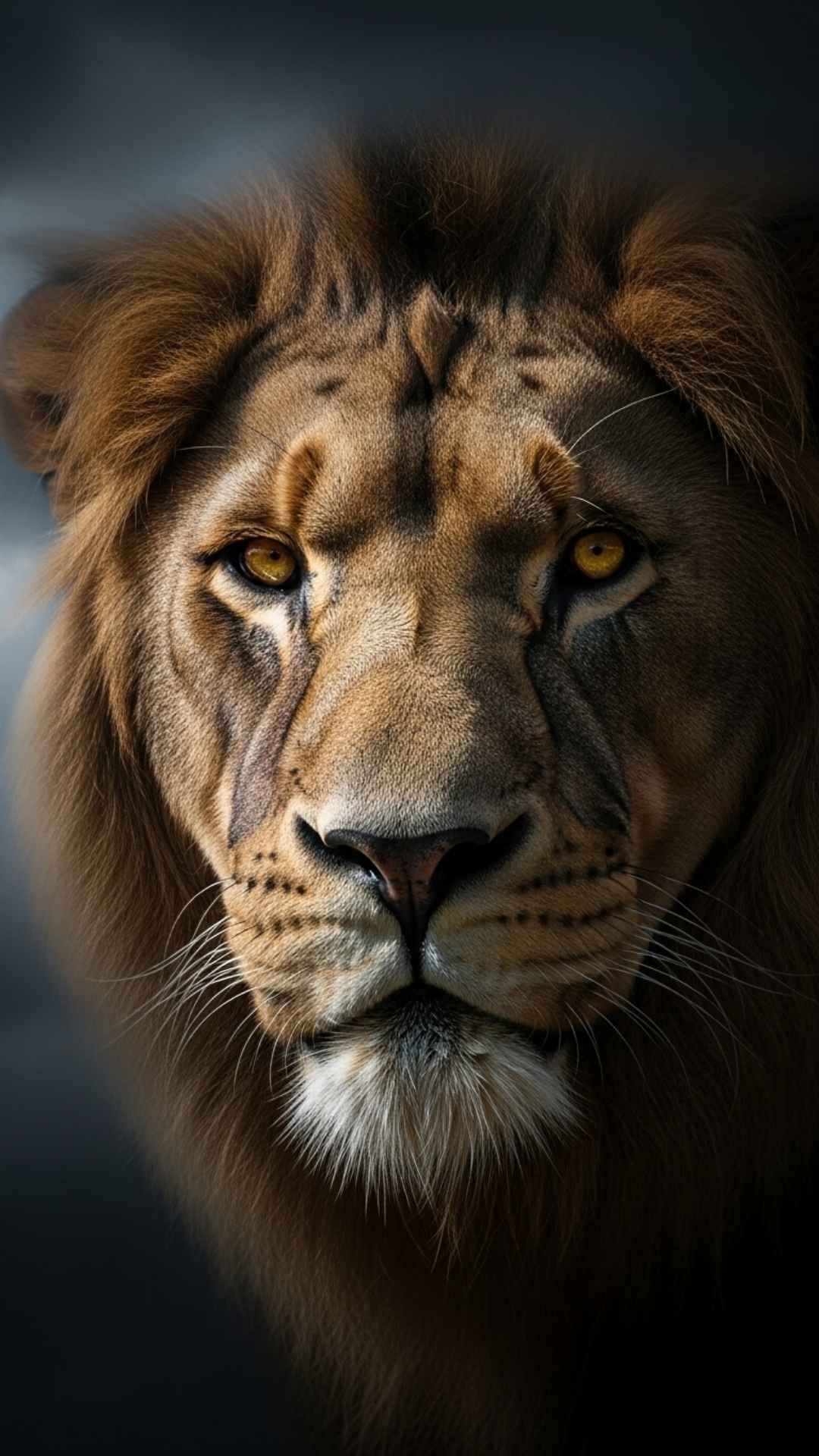 A powerful close-up of a lion's face with an intense, determined gaze, set against a dark, dramatic background. No text.