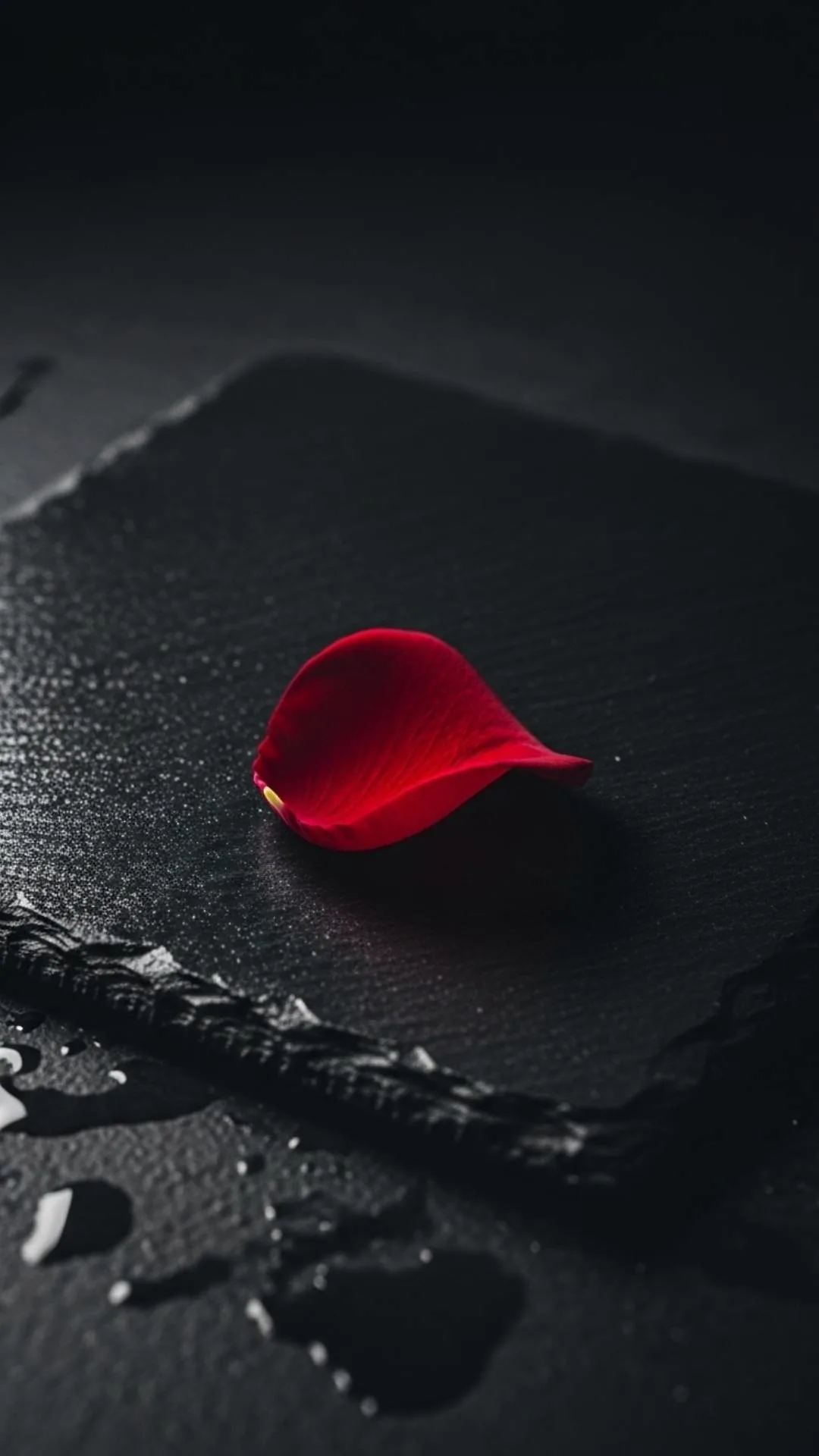 A minimalist and lonely DP of a single sad red rose petal on a dark wet surface, an image representing loss, heartbreak, and feeling broken or alone.