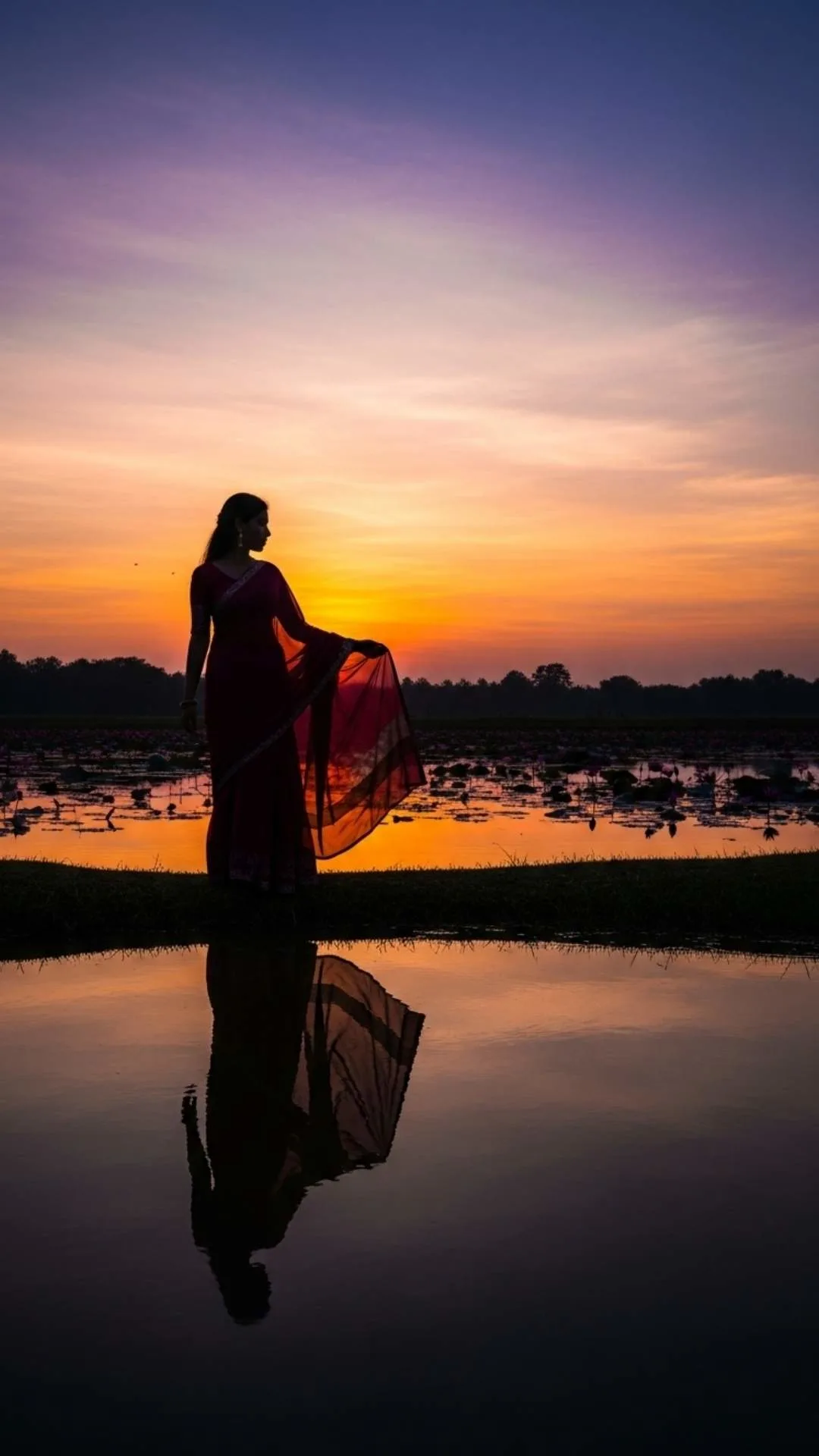 A silhouette reflecting in a calm lotus pond at sunset. A peaceful and serene nature DP for WhatsApp, evoking tranquility and reflection. #lotuspondreflection #peacefulsilhouette #sunset