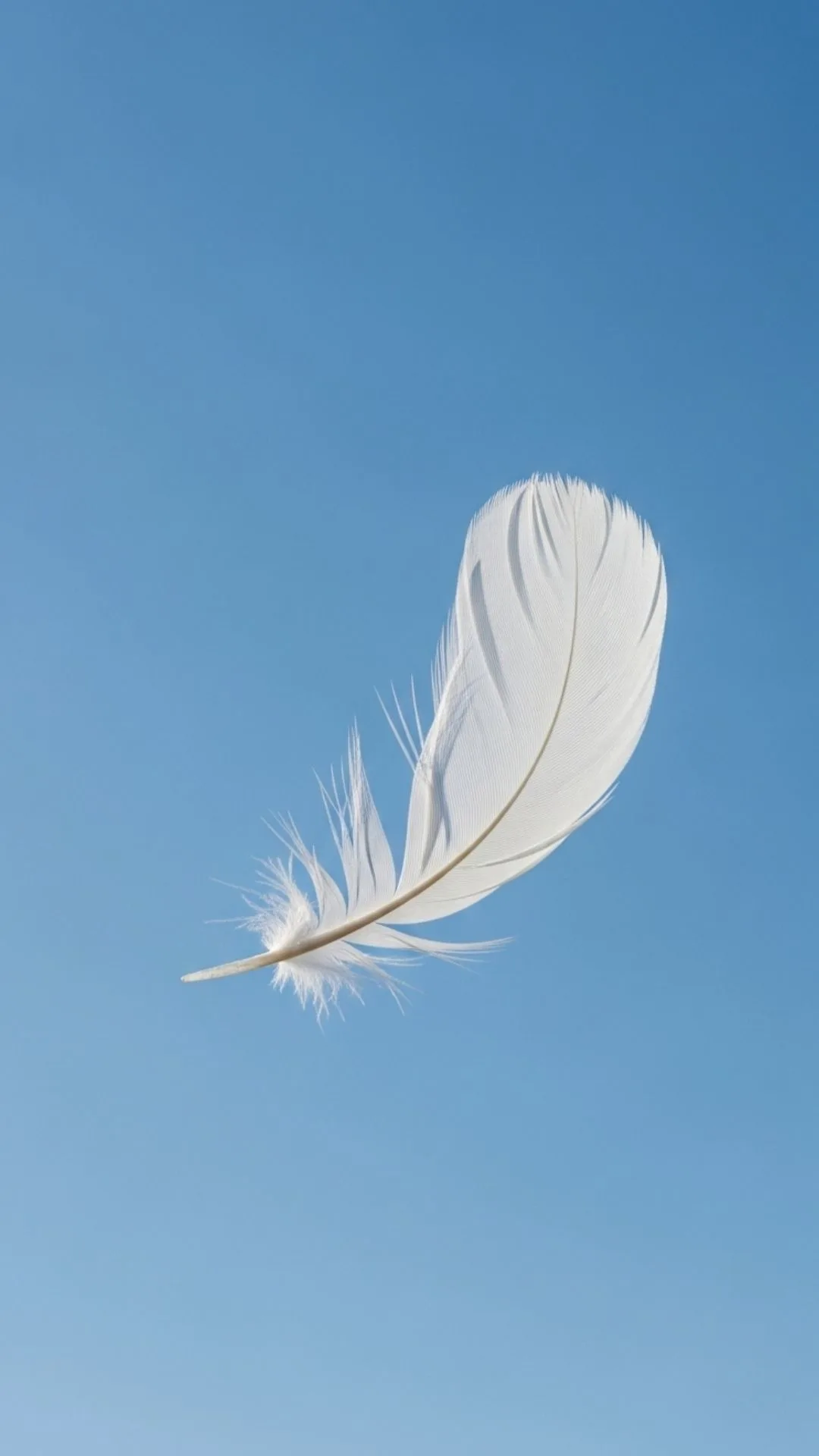 A minimalist and symbolic DP of a single white feather falling against a clear blue sky, representing freedom, peace, and letting go. #Feather #Freedom #MinimalistDP #Peace #LettingGo
